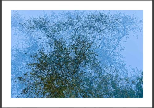 Geertje Ouwehand-blauw-3-def