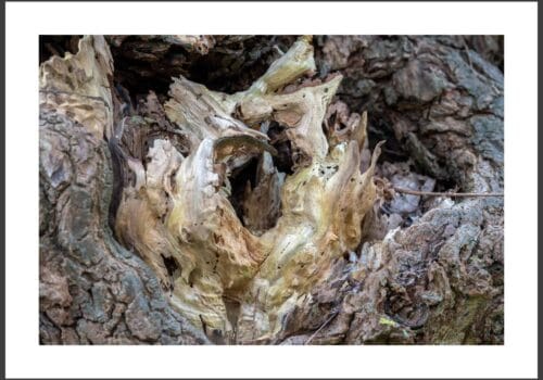 Jort-Wabi-Sabi-Jort-3857