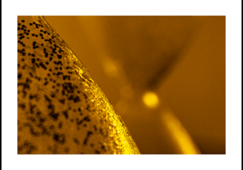 Tom_EFL_Geel_240DPI-23411